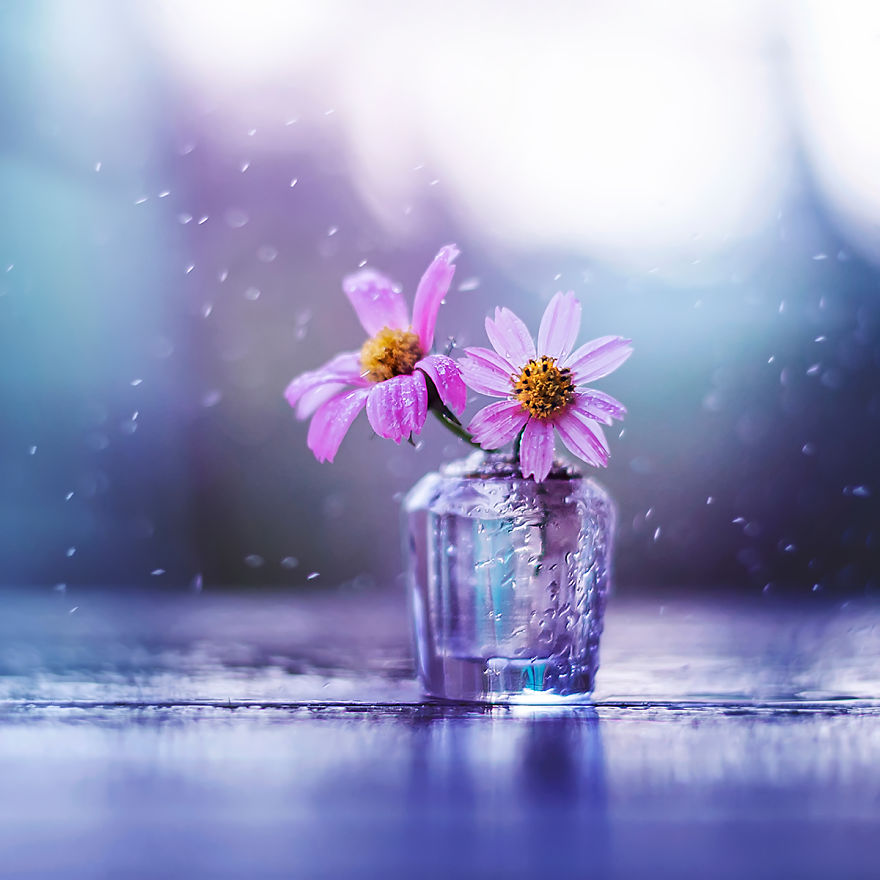 I Use Flowers To Create Magical Images I Use Flowers To Create Magical Images