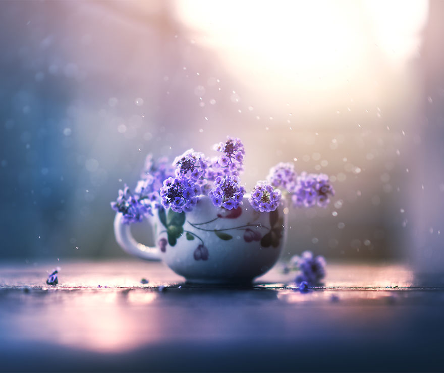 I Use Flowers To Create Magical Images I Use Flowers To Create Magical Images