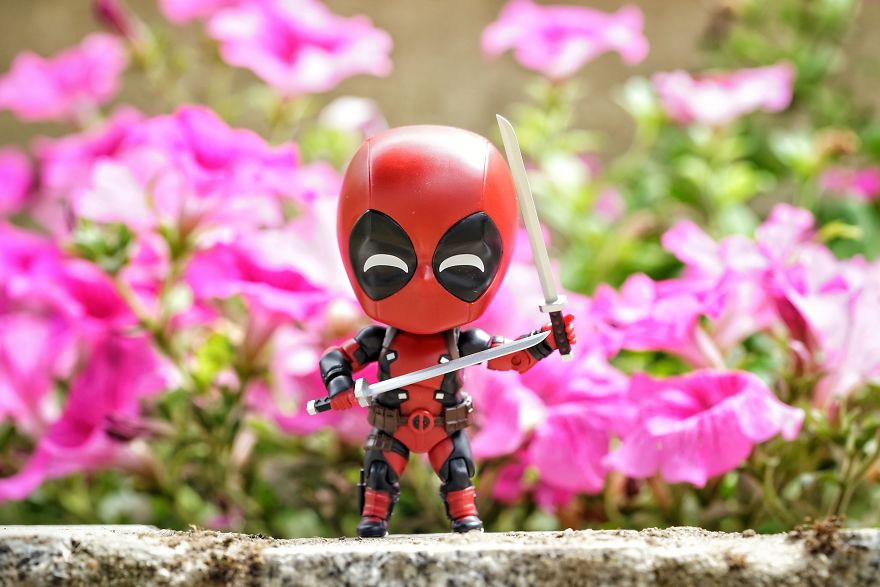 I Turn My Toys Alive With My Camera I Turn My Toys Alive With My Camera