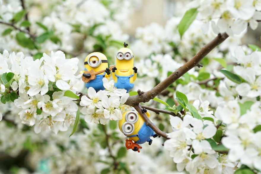 I Turn My Toys Alive With My Camera I Turn My Toys Alive With My Camera