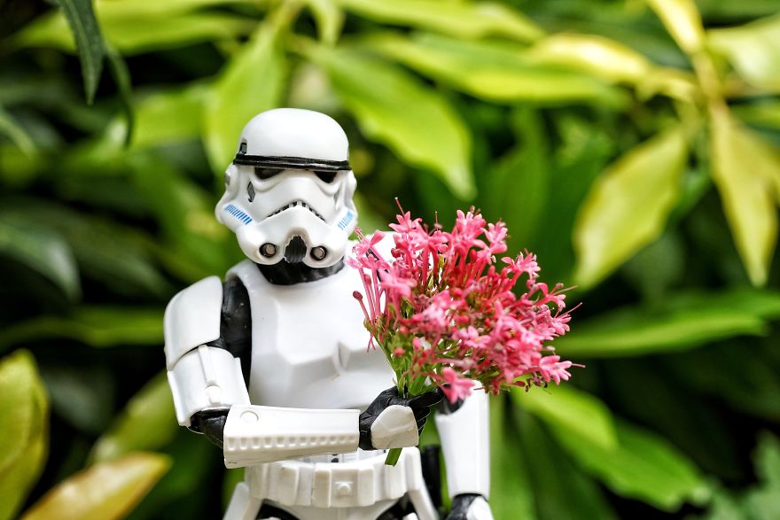 I Turn My Toys Alive With My Camera I Turn My Toys Alive With My Camera