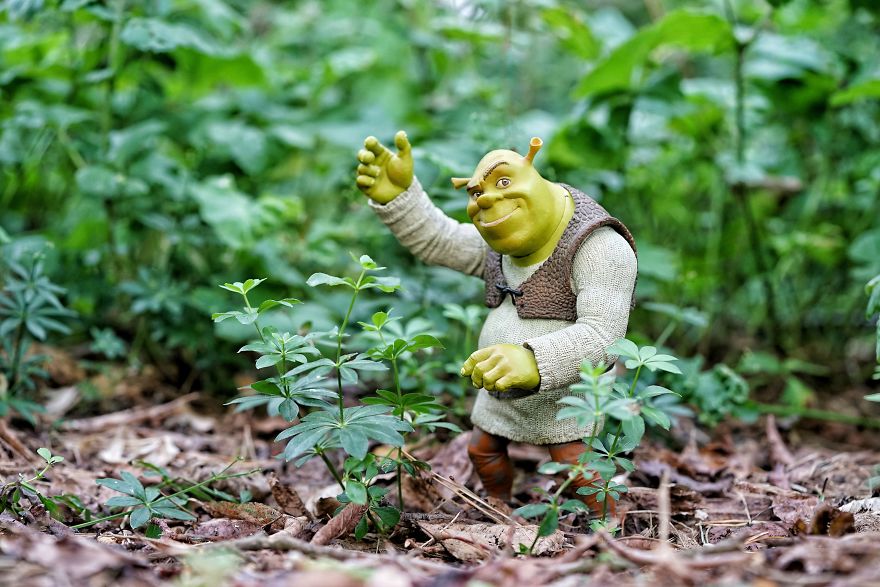 I Turn My Toys Alive With My Camera I Turn My Toys Alive With My Camera