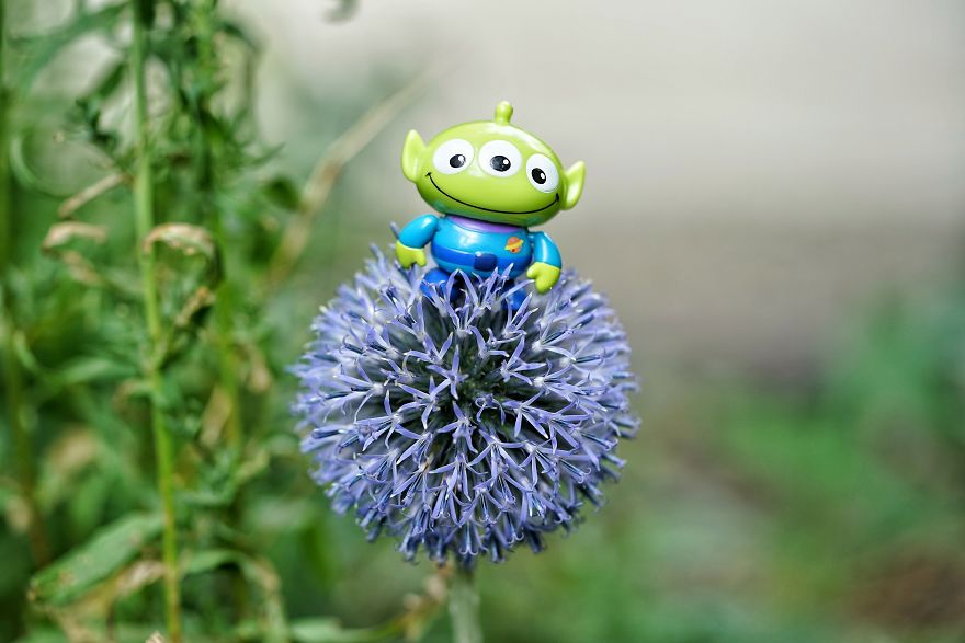 I Turn My Toys Alive With My Camera I Turn My Toys Alive With My Camera