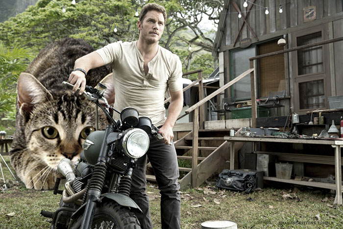 Someone Replaced Jurassic Park Dinosaurs With Cats, And It’s Hilarious Someone Replaced Jurassic Park Dinosaurs With Cats, And It’s Hilarious