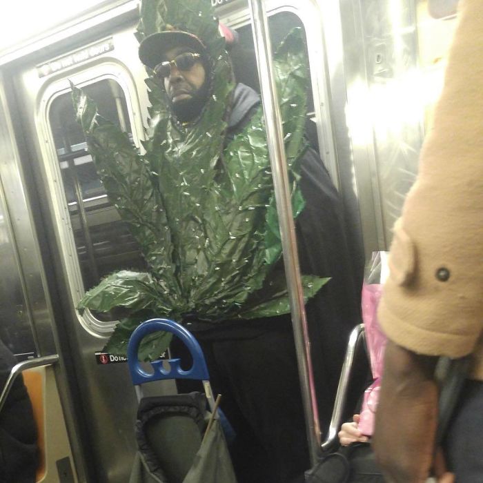 176 Of The Weirdest People Ever Spotted Riding On The Subway 176 Of The Weirdest People Ever Spotted Riding On The Subway