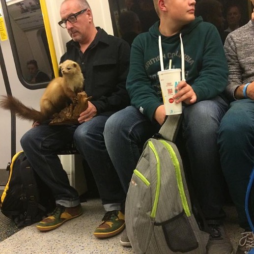 176 Of The Weirdest People Ever Spotted Riding On The Subway 176 Of The Weirdest People Ever Spotted Riding On The Subway