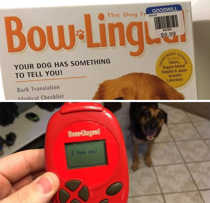 195 People Who Found The Best Things In Thrift Stores, Flea Markets And Garage Sales 195 People Who Found The Best Things In Thrift Stores, Flea Markets And Garage Sales