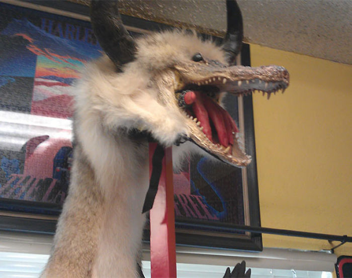 195 People Who Found The Best Things In Thrift Stores, Flea Markets And Garage Sales 195 People Who Found The Best Things In Thrift Stores, Flea Markets And Garage Sales