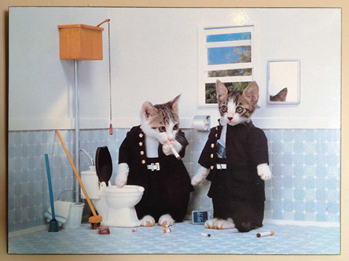 195 People Who Found The Best Things In Thrift Stores, Flea Markets And Garage Sales 195 People Who Found The Best Things In Thrift Stores, Flea Markets And Garage Sales