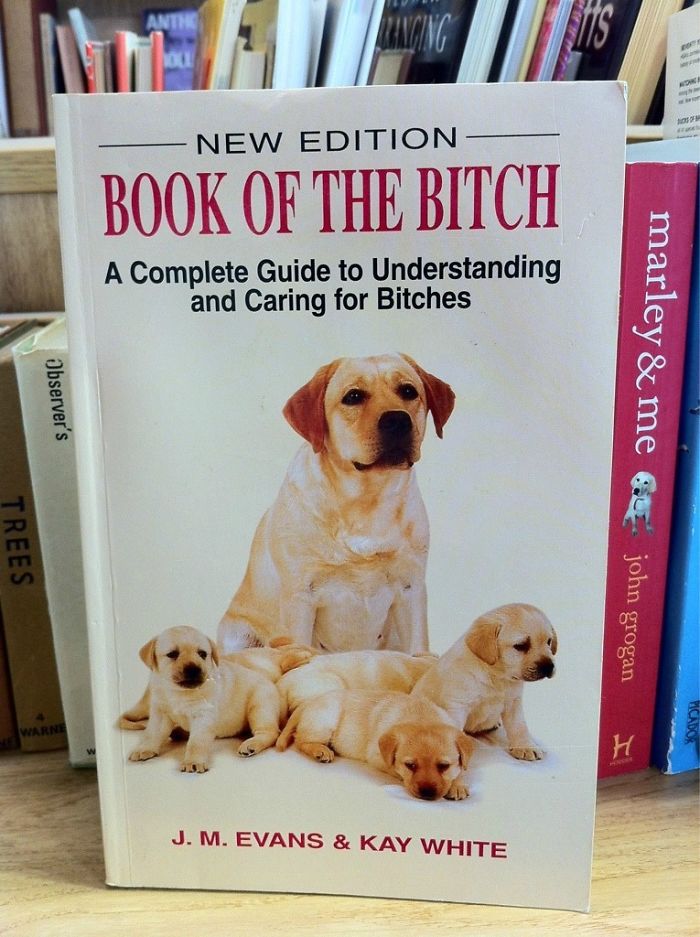 195 People Who Found The Best Things In Thrift Stores, Flea Markets And Garage Sales 195 People Who Found The Best Things In Thrift Stores, Flea Markets And Garage Sales
