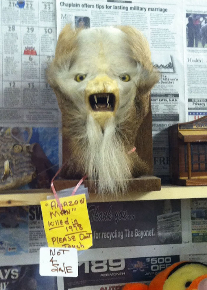 195 People Who Found The Best Things In Thrift Stores, Flea Markets And Garage Sales 195 People Who Found The Best Things In Thrift Stores, Flea Markets And Garage Sales