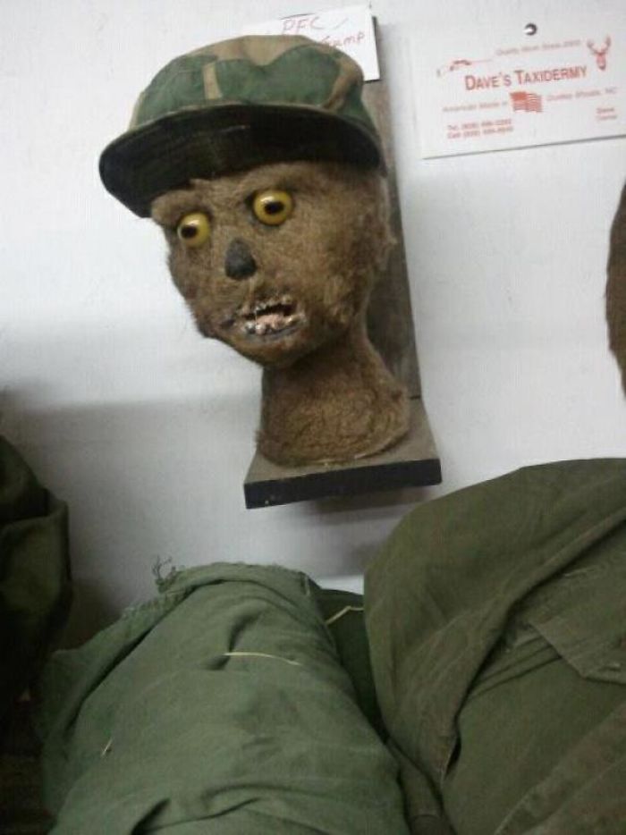 195 People Who Found The Best Things In Thrift Stores, Flea Markets And Garage Sales 195 People Who Found The Best Things In Thrift Stores, Flea Markets And Garage Sales