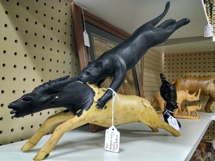 195 People Who Found The Best Things In Thrift Stores, Flea Markets And Garage Sales 195 People Who Found The Best Things In Thrift Stores, Flea Markets And Garage Sales