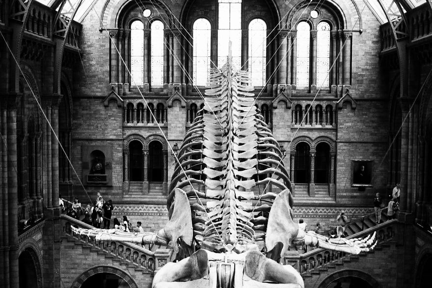 My Camera Is Much Older Than I Am, But Decades Later, It Still Works Beautifully