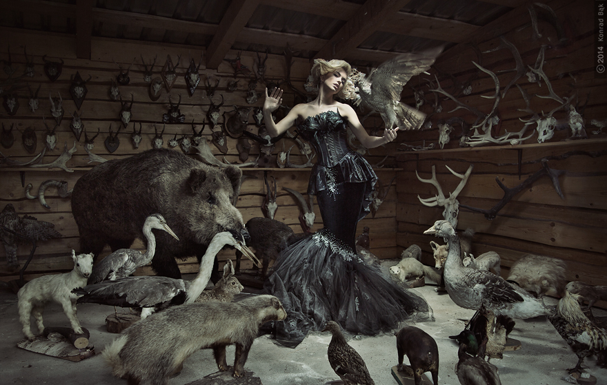 I Photographed Sensual Level Of Interaction I Photographed Sensual Level Of Interaction