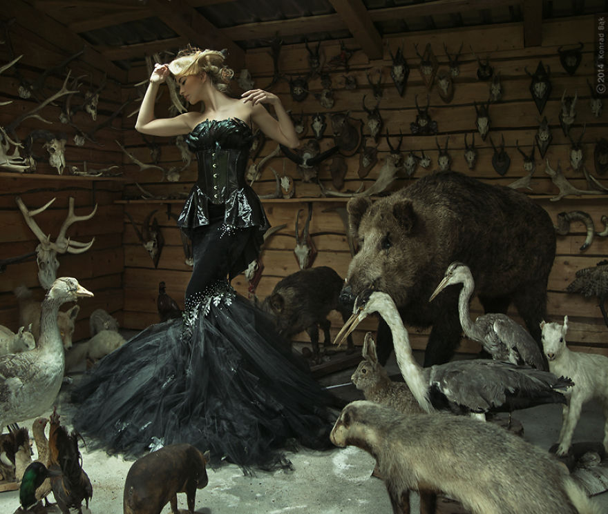 I Photographed Sensual Level Of Interaction I Photographed Sensual Level Of Interaction