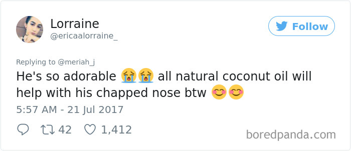 “My Sister Adopted Her Very First Dog And His Before & After Pics Have Me Crying” “My Sister Adopted Her Very First Dog And His Before & After Pics Have Me Crying”