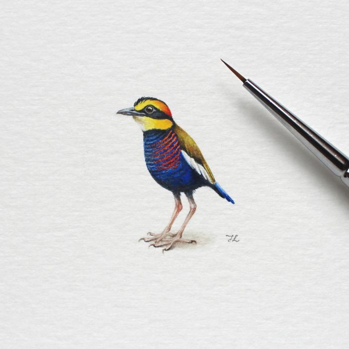 I Started Drawing Miniature Paintings Because I Did Not Have Time For Bigger Drawings And Now It&#8217;s My Passion