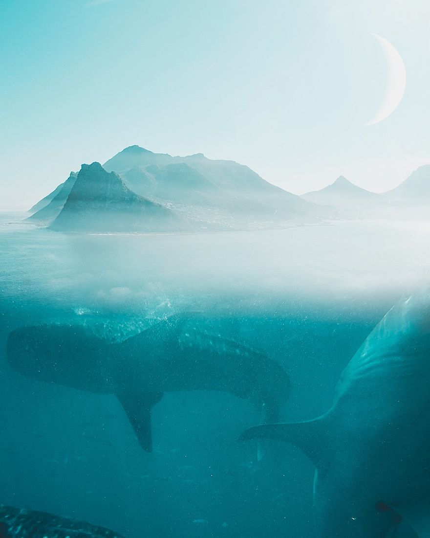 I’m A 16-Year-Old Artist Creating Blue Digital Artworks That Will Relax You I’m A 16-Year-Old Artist Creating Blue Digital Artworks That Will Relax You