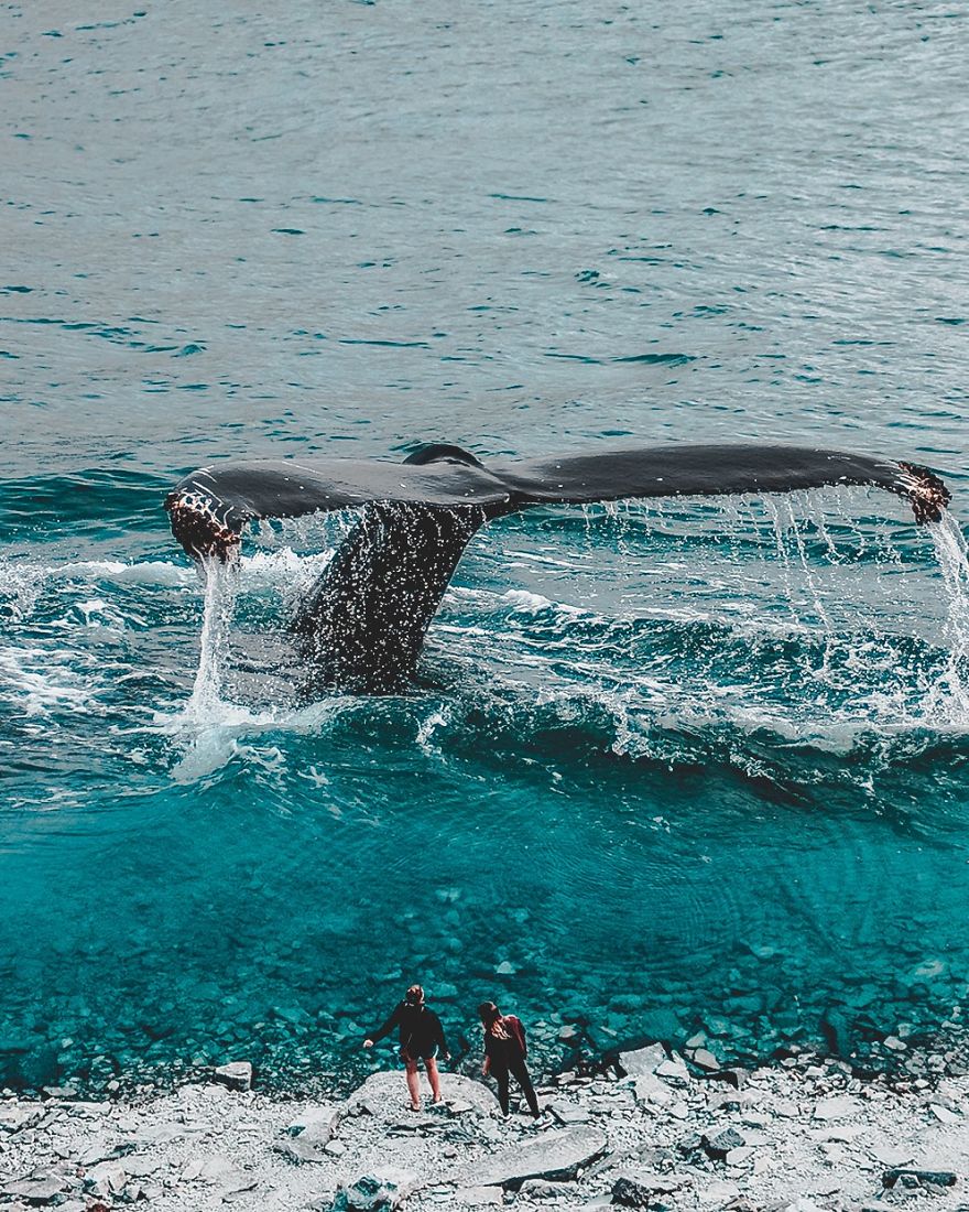 I’m A 16-Year-Old Artist Creating Blue Digital Artworks That Will Relax You I’m A 16-Year-Old Artist Creating Blue Digital Artworks That Will Relax You