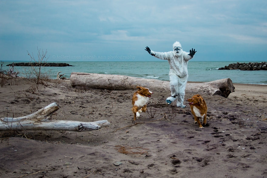 Dogs Exploring The World In The Most Adorable Way Dogs Exploring The World In The Most Adorable Way