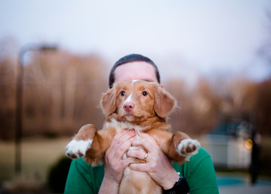 Dogs Exploring The World In The Most Adorable Way Dogs Exploring The World In The Most Adorable Way