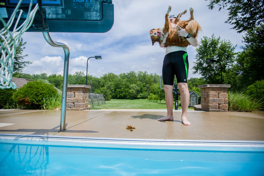 Dogs Exploring The World In The Most Adorable Way Dogs Exploring The World In The Most Adorable Way