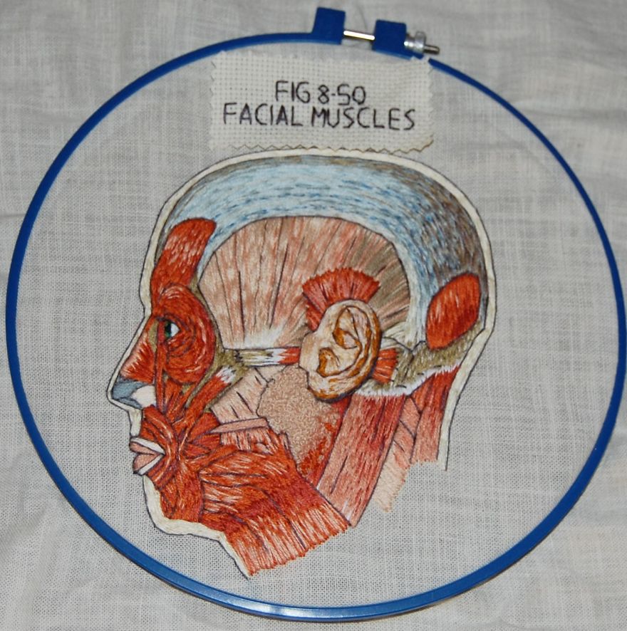 I Started Creating Anatomical Embroidery After I Had An Extensive Facial Surgery I Started Creating Anatomical Embroidery After I Had An Extensive Facial Surgery