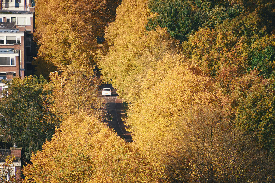 I Documented The Seasonal Change Of Nature Within 15-Minute Cycling From My House I Documented The Seasonal Change Of Nature Within 15-Minute Cycling From My House