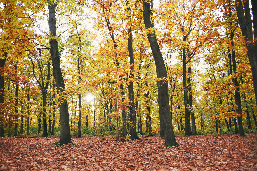 I Documented The Seasonal Change Of Nature Within 15-Minute Cycling From My House I Documented The Seasonal Change Of Nature Within 15-Minute Cycling From My House