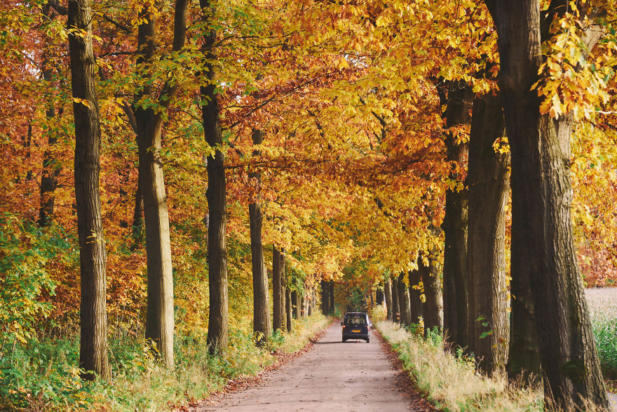 I Documented The Seasonal Change Of Nature Within 15-Minute Cycling From My House I Documented The Seasonal Change Of Nature Within 15-Minute Cycling From My House