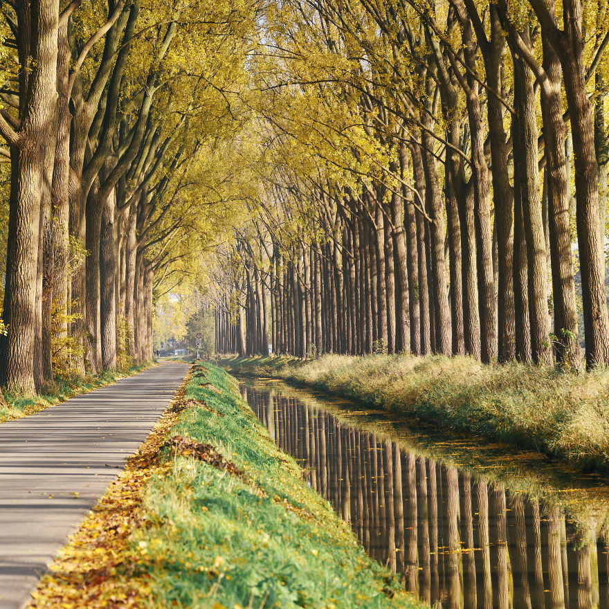 I Documented The Seasonal Change Of Nature Within 15-Minute Cycling From My House I Documented The Seasonal Change Of Nature Within 15-Minute Cycling From My House