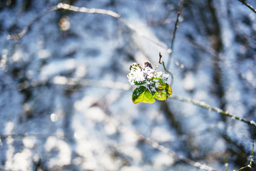 I Documented The Seasonal Change Of Nature Within 15-Minute Cycling From My House I Documented The Seasonal Change Of Nature Within 15-Minute Cycling From My House
