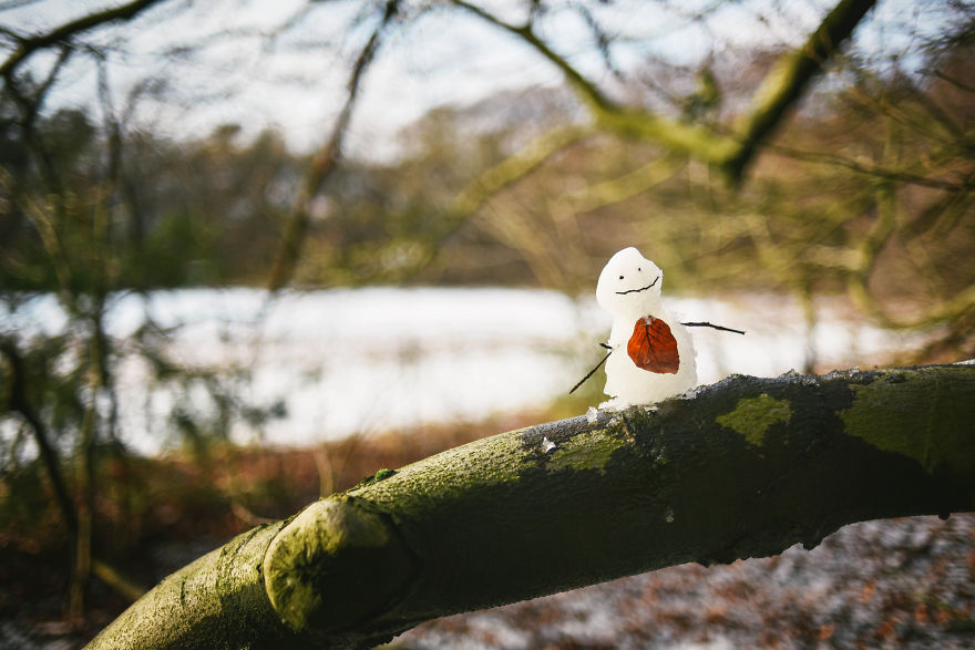 I Documented The Seasonal Change Of Nature Within 15-Minute Cycling From My House I Documented The Seasonal Change Of Nature Within 15-Minute Cycling From My House