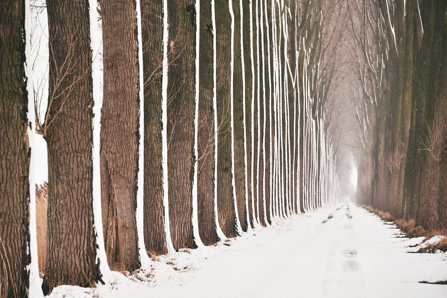 I Documented The Seasonal Change Of Nature Within 15-Minute Cycling From My House I Documented The Seasonal Change Of Nature Within 15-Minute Cycling From My House