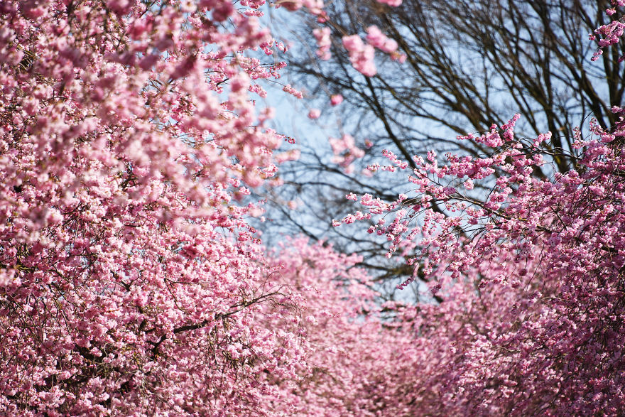 I Documented The Seasonal Change Of Nature Within 15-Minute Cycling From My House I Documented The Seasonal Change Of Nature Within 15-Minute Cycling From My House