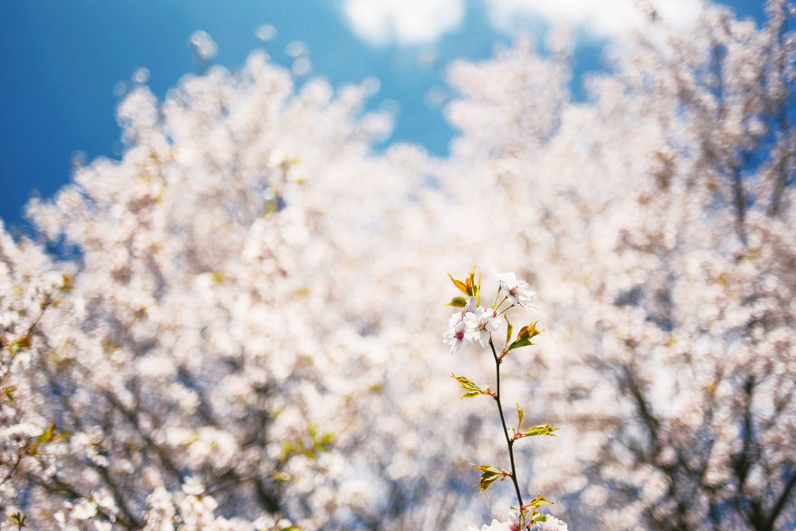 I Documented The Seasonal Change Of Nature Within 15-Minute Cycling From My House I Documented The Seasonal Change Of Nature Within 15-Minute Cycling From My House