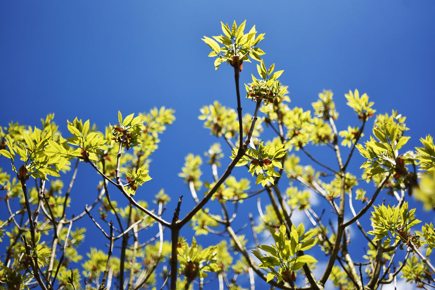 I Documented The Seasonal Change Of Nature Within 15-Minute Cycling From My House I Documented The Seasonal Change Of Nature Within 15-Minute Cycling From My House