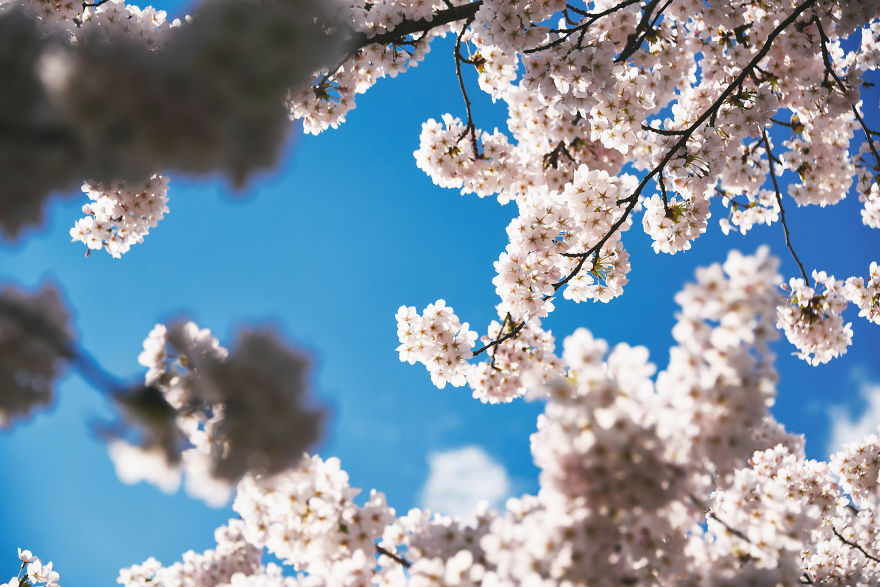 I Documented The Seasonal Change Of Nature Within 15-Minute Cycling From My House I Documented The Seasonal Change Of Nature Within 15-Minute Cycling From My House