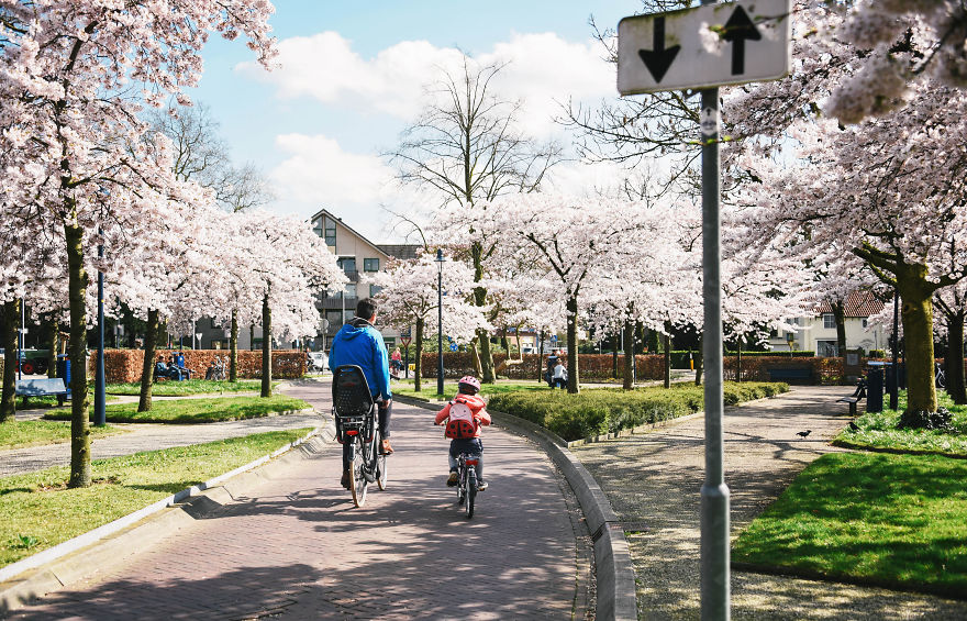 I Documented The Seasonal Change Of Nature Within 15-Minute Cycling From My House I Documented The Seasonal Change Of Nature Within 15-Minute Cycling From My House