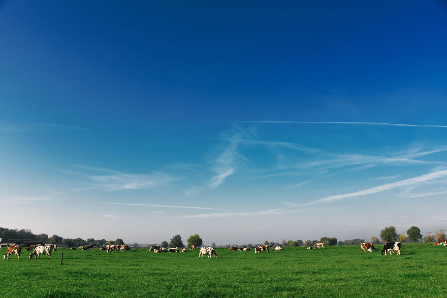 I Documented The Seasonal Change Of Nature Within 15-Minute Cycling From My House I Documented The Seasonal Change Of Nature Within 15-Minute Cycling From My House