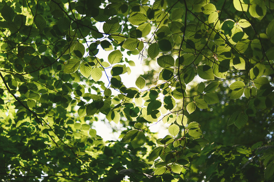 I Documented The Seasonal Change Of Nature Within 15-Minute Cycling From My House I Documented The Seasonal Change Of Nature Within 15-Minute Cycling From My House
