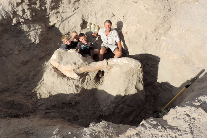 Boy Discovers Million-Year-Old Fossil By Tripping Over It