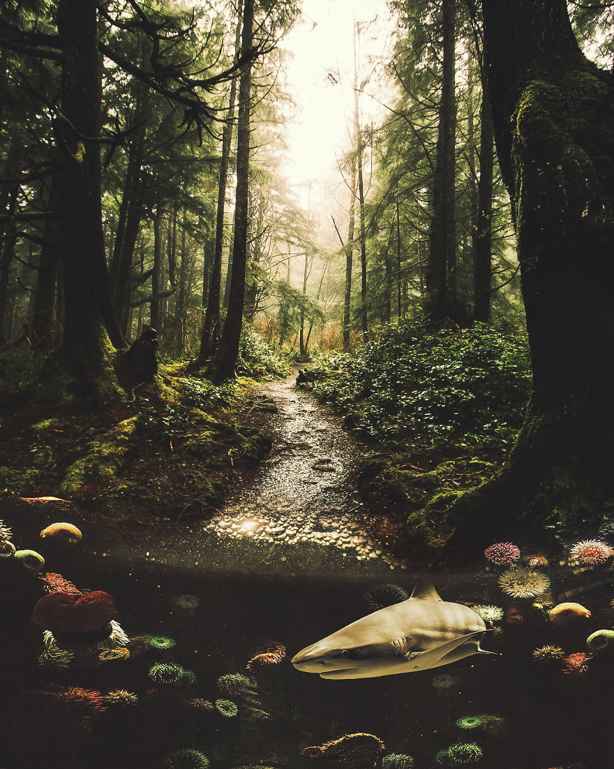 I Merge Reality With Imagination To Create Fascinating Surreal Artworks