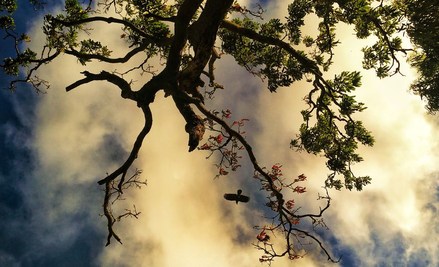 When You Have A 140$ Phone But Passion To Turn It Into A 1000$ Camera When You Have A 140$ Phone But Passion To Turn It Into A 1000$ Camera