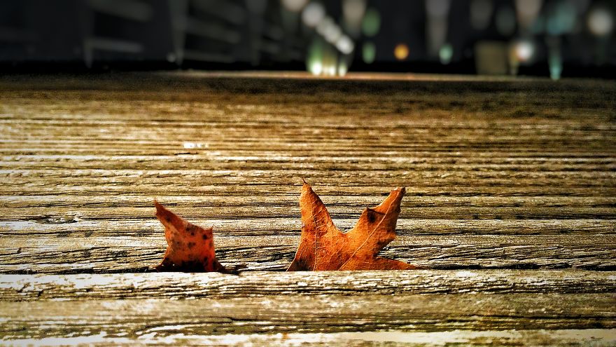 When You Have A 140$ Phone But Passion To Turn It Into A 1000$ Camera When You Have A 140$ Phone But Passion To Turn It Into A 1000$ Camera