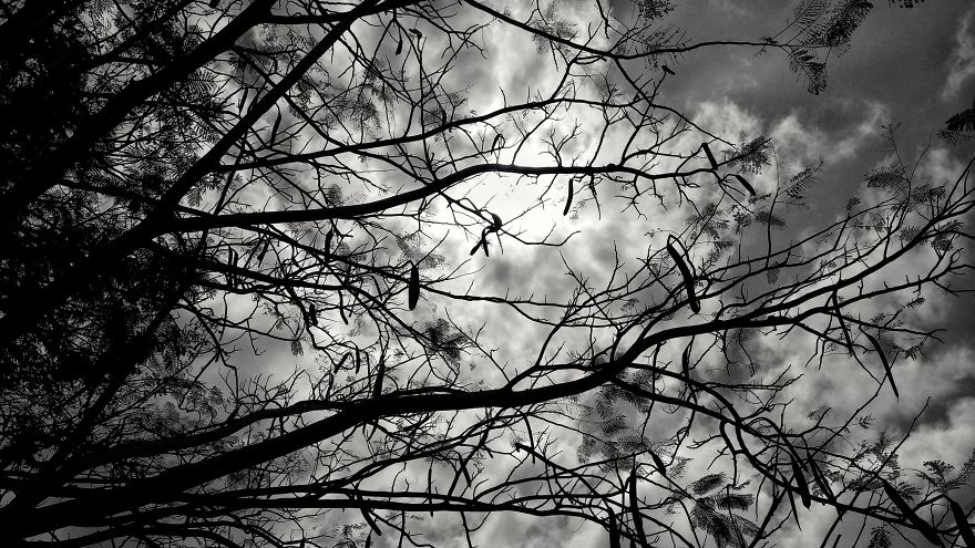 When You Have A 140$ Phone But Passion To Turn It Into A 1000$ Camera When You Have A 140$ Phone But Passion To Turn It Into A 1000$ Camera