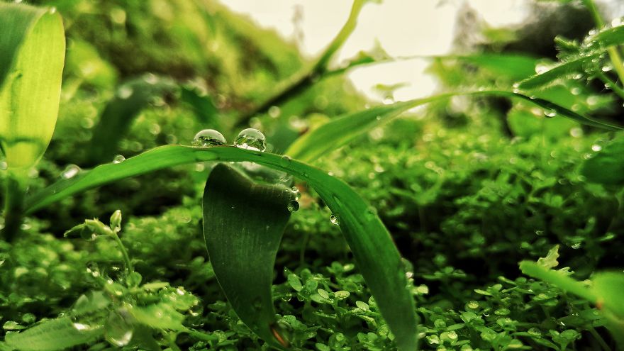 When You Have A 140$ Phone But Passion To Turn It Into A 1000$ Camera When You Have A 140$ Phone But Passion To Turn It Into A 1000$ Camera