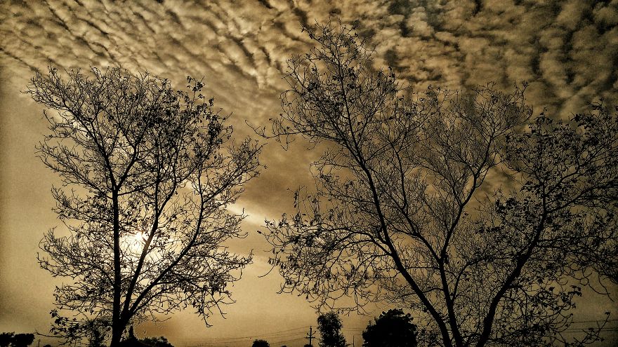 When You Have A 140$ Phone But Passion To Turn It Into A 1000$ Camera When You Have A 140$ Phone But Passion To Turn It Into A 1000$ Camera