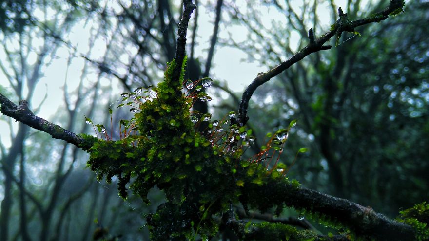 When You Have A 140$ Phone But Passion To Turn It Into A 1000$ Camera When You Have A 140$ Phone But Passion To Turn It Into A 1000$ Camera